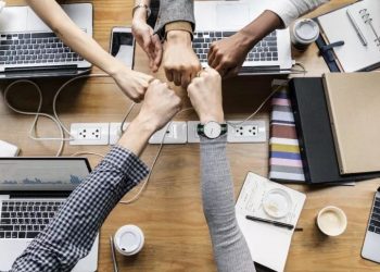 What Kind of Organizational Culture Best Sparks Team Innovation Potential?