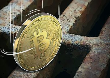 As Cryptocurrency Adoption Grows, How Should Regulators Protect Investor Rights?