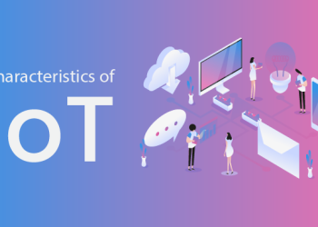 The Future of Blockchain in the Internet of Things (IoT)