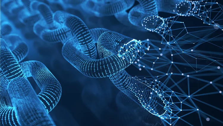 How Does Blockchain Technology Ensure Data Security and Privacy Protection?