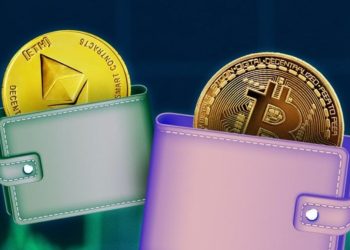 How to Protect Your Digital Wallet from Cyberattacks and Theft: A Comprehensive Guide